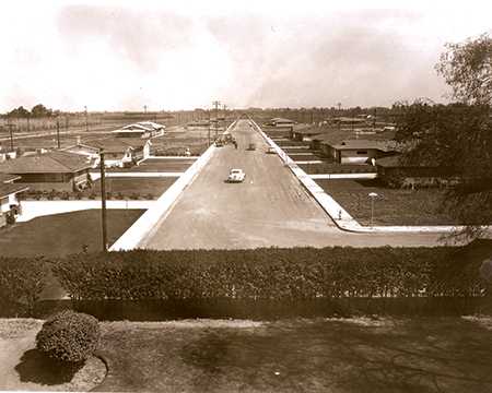 1957 First houses MBBS